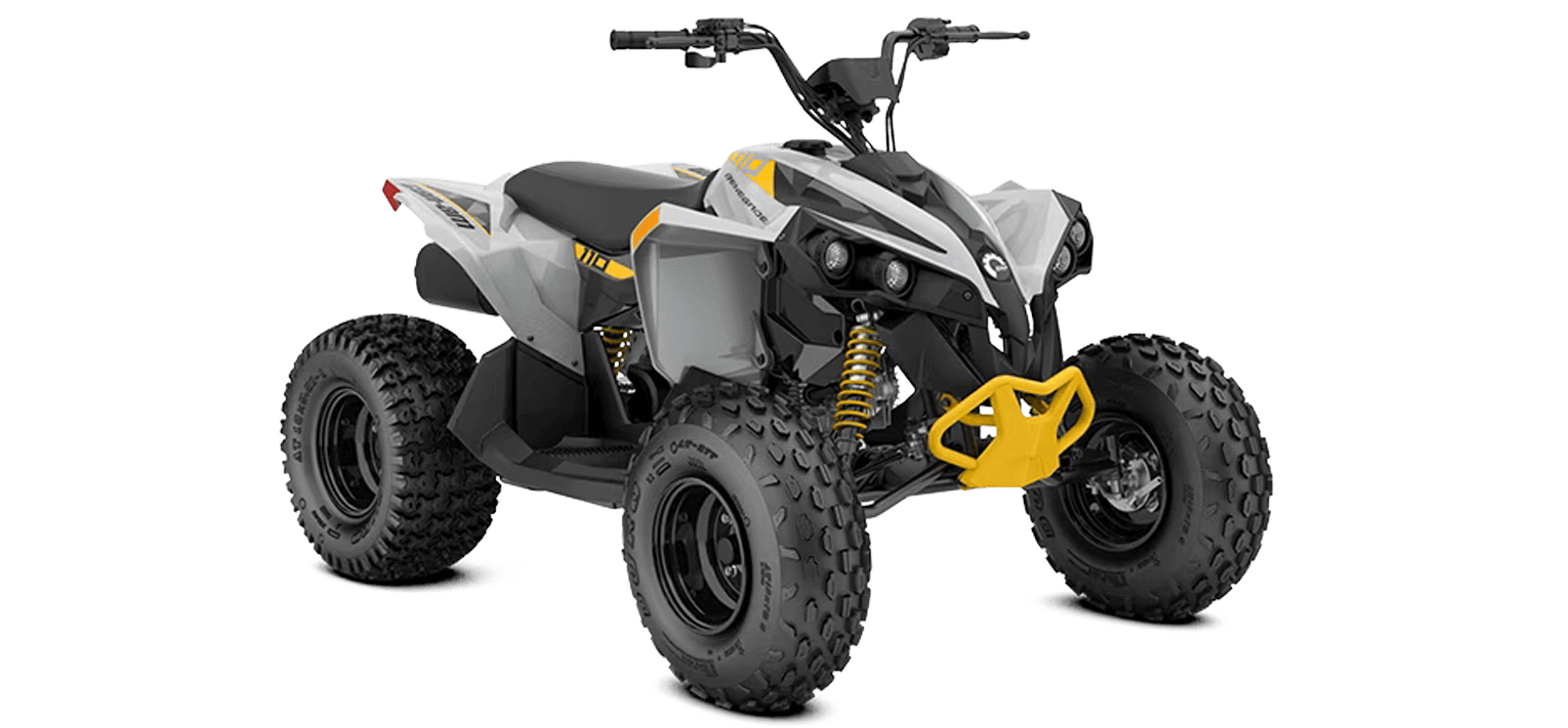 Can Am Renegade EFI 2025